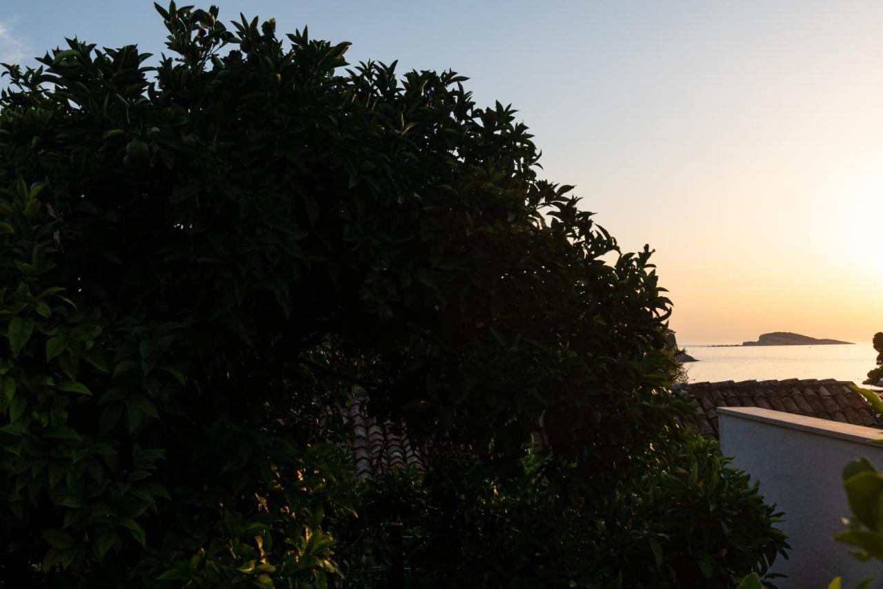 Holiday Home Anamarija Cavtat Εξωτερικό φωτογραφία